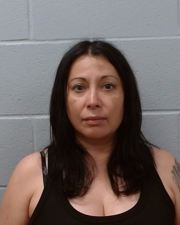 Castillo, Sonia R arrest record in Hays County, Texas Castillo, Sonia R arrested in Hays County, Texas mugshot