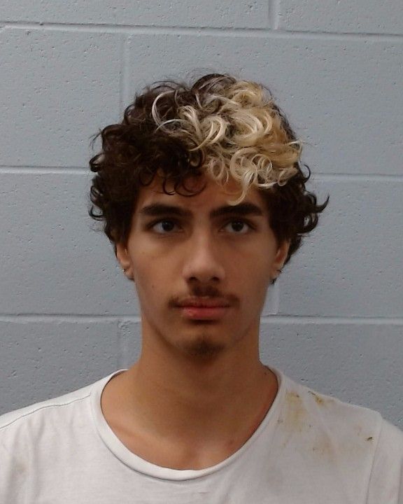 Tapaevalu, Lucius Gavin arrest record in Hays County, Texas Tapaevalu, Lucius Gavin arrested in Hays County, Texas mugshot