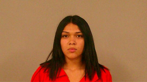 DOHNALIK, AUDRINA KORYN arrest record in Burnet County, Texas DOHNALIK, AUDRINA KORYN arrested in Burnet County, Texas mugshot