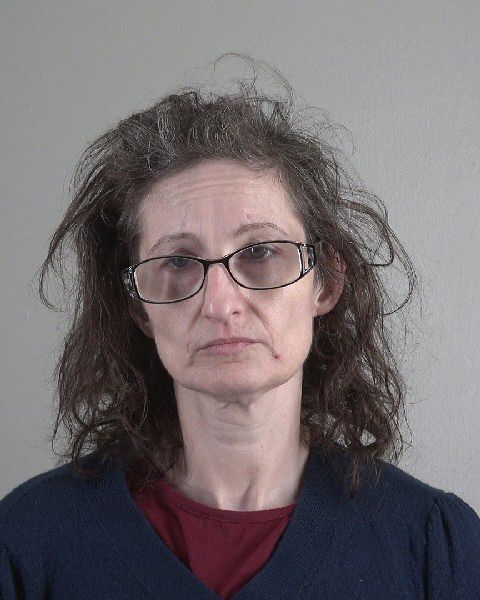CARYN WALLIS arrest record in Tarrant County, Texas CARYN WALLIS arrested in Tarrant County, Texas mugshot