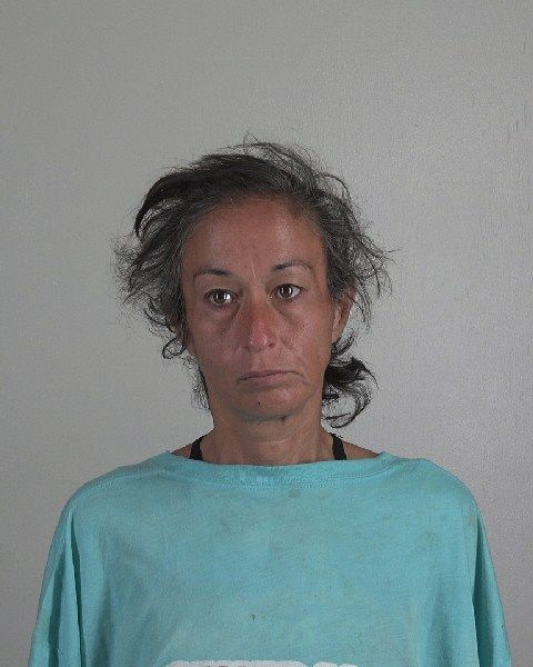 LORI VILLARREAL arrest record in Tarrant County, Texas LORI VILLARREAL arrested in Tarrant County, Texas mugshot