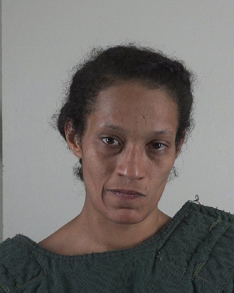 SHAWNA JENNESS arrest record in Tarrant County, Texas SHAWNA JENNESS arrested in Tarrant County, Texas mugshot