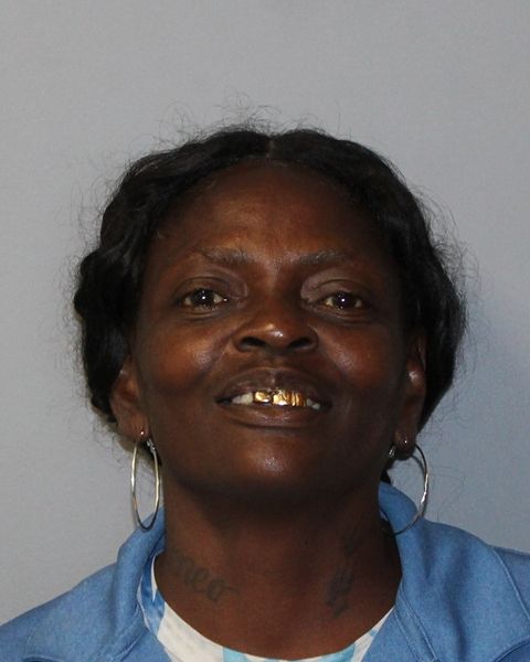 PATRICIA REYNOLDS arrest record PATRICIA REYNOLDS mugshot