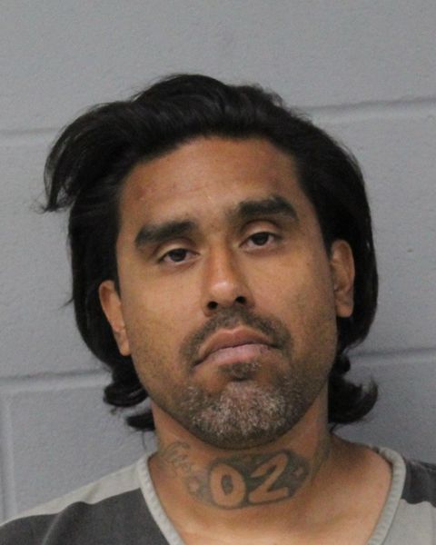MICHAEL ELIAS arrest record MICHAEL ELIAS mugshot