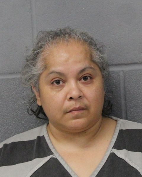 LISA SELF arrest record LISA SELF mugshot