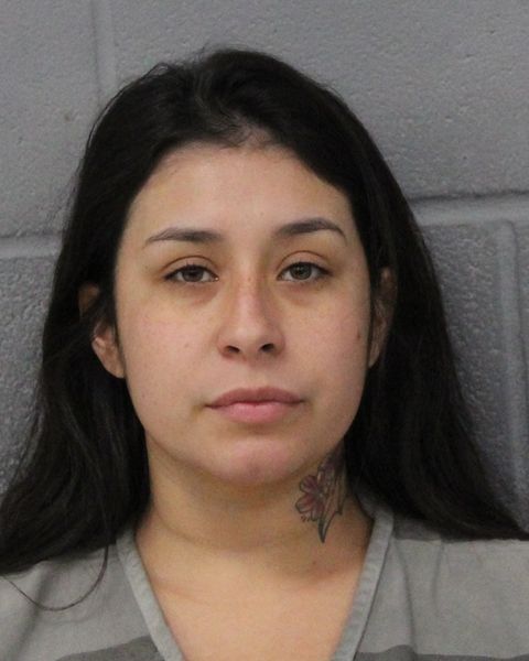 ALYSSA BANUELOS arrest record ALYSSA BANUELOS mugshot
