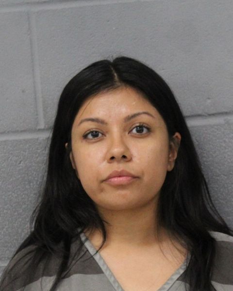 ERIN ALEMAN arrest record ERIN ALEMAN mugshot