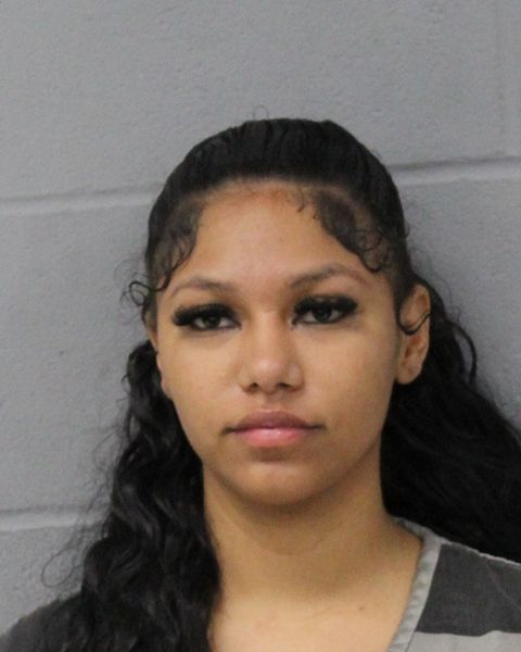 NELLIE CASTILLO arrest record NELLIE CASTILLO mugshot