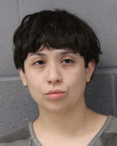 ANA DIAZ GALICIA arrest record ANA DIAZ GALICIA mugshot