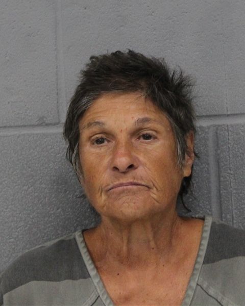 DIANE KOSTORIZOS arrest record DIANE KOSTORIZOS mugshot
