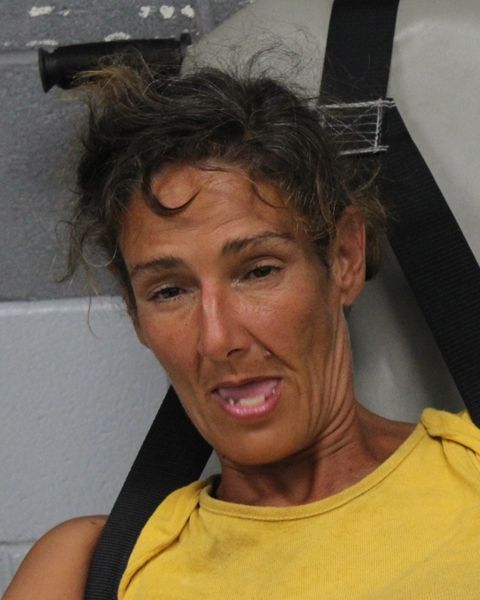 TERESA MWNENDEZ arrest record TERESA MWNENDEZ mugshot
