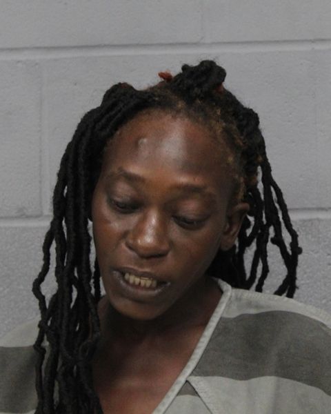 TINA FISHER arrest record TINA FISHER mugshot