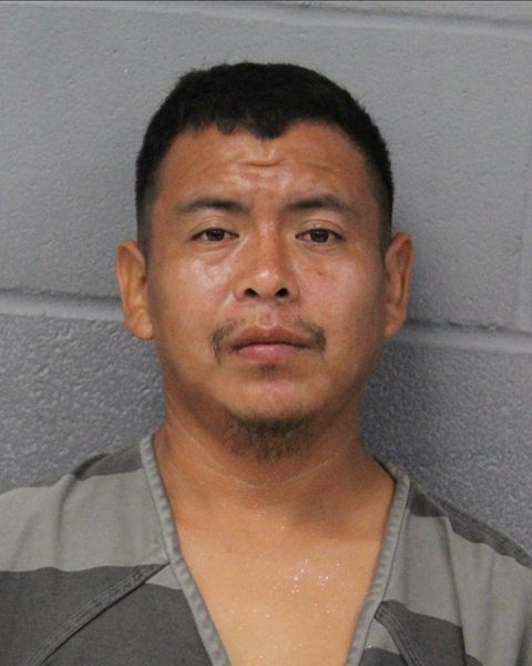 LUDVIN TUNCHE-MUC arrest record LUDVIN TUNCHE-MUC mugshot