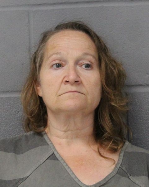 POLLY DOLBIER arrest record POLLY DOLBIER mugshot