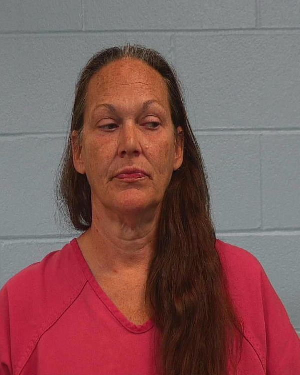 Garlinger, Laura Anna arrest record in Williamson County, Texas Garlinger, Laura Anna arrested in Williamson County, Texas mugshot