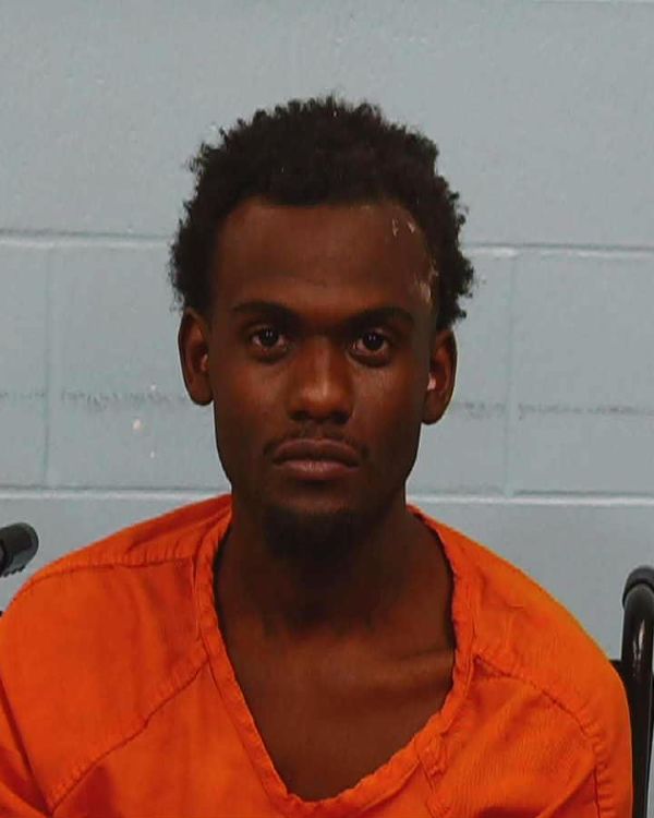 Turner, Howard Eugene arrest record in Williamson County, Texas Turner, Howard Eugene arrested in Williamson County, Texas mugshot