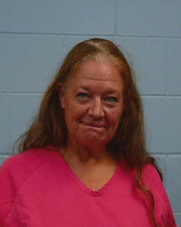 Hardison, Thais Bronwyn arrest record in Williamson County, Texas Hardison, Thais Bronwyn arrested in Williamson County, Texas mugshot