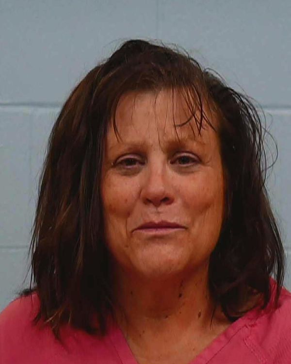 Guidry, Gina Dianne arrest record in Williamson County, Texas Guidry, Gina Dianne arrested in Williamson County, Texas mugshot