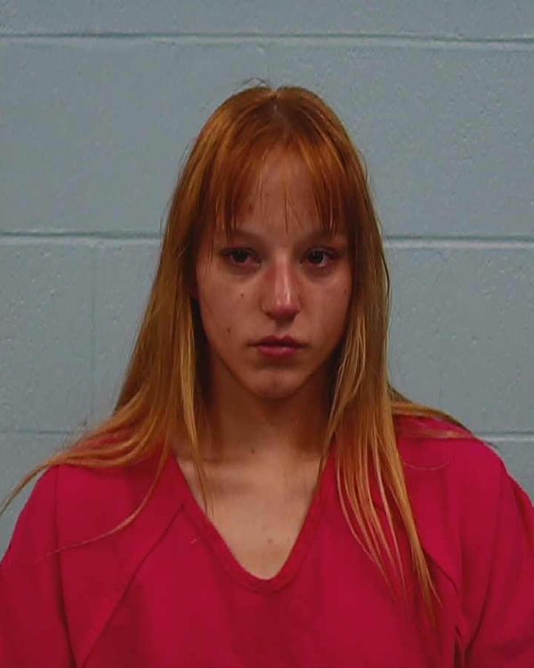Egan, Katerina Alexis arrest record in Williamson County, Texas Egan, Katerina Alexis arrested in Williamson County, Texas mugshot
