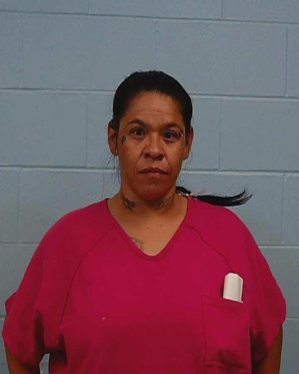 Sanchez, Norma jean arrest record in Williamson County, Texas Sanchez, Norma jean arrested in Williamson County, Texas mugshot