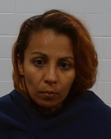 Medina, Tania Ivonne arrest record in Collin County, Texas Medina, Tania Ivonne arrested in Collin County, Texas mugshot
