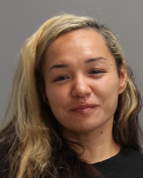 LOPEZ, MARISELA arrest record in Brazos County, Texas LOPEZ, MARISELA arrested in Brazos County, Texas mugshot
