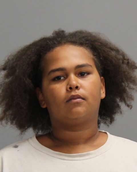 HALLFORD, ELIJAH CURTIS arrest record in Brazos County, Texas HALLFORD, ELIJAH CURTIS arrested in Brazos County, Texas mugshot