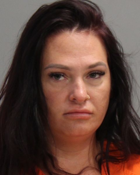 HIBNER, DESIREE NICOLE arrest record in Brazos County, Texas HIBNER, DESIREE NICOLE arrested in Brazos County, Texas mugshot