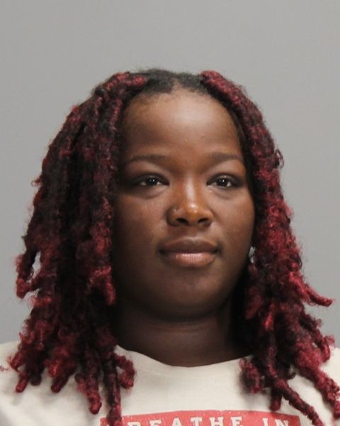 ALBERT, KELSEY KIERRA arrest record in Brazos County, Texas ALBERT, KELSEY KIERRA arrested in Brazos County, Texas mugshot