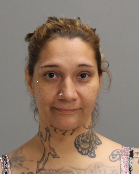 GEDDINGS, ERICA NICOLE arrest record in Brazos County, Texas GEDDINGS, ERICA NICOLE arrested in Brazos County, Texas mugshot