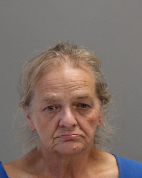 SUMMERS, JULIE arrest record in Brazos County, Texas SUMMERS, JULIE arrested in Brazos County, Texas mugshot