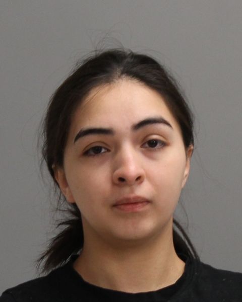 ROMAN, NOEMI arrest record in Brazos County, Texas ROMAN, NOEMI arrested in Brazos County, Texas mugshot