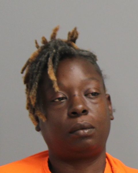 WINN, CARLA JANE arrest record in Brazos County, Texas WINN, CARLA JANE arrested in Brazos County, Texas mugshot