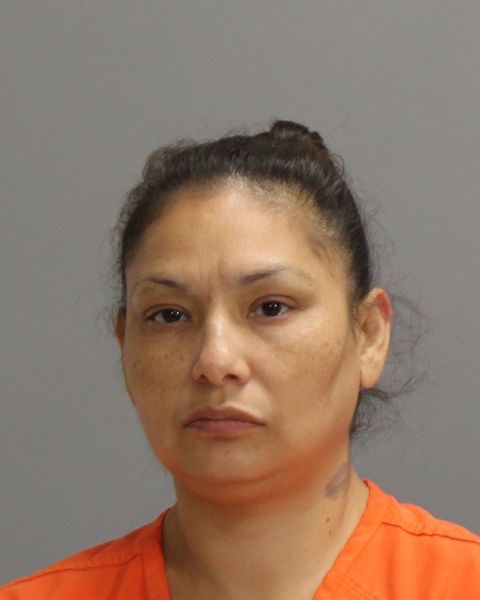 Salinas, Anna Lisia arrest record in Brazos County, Texas Salinas, Anna Lisia arrested in Brazos County, Texas mugshot