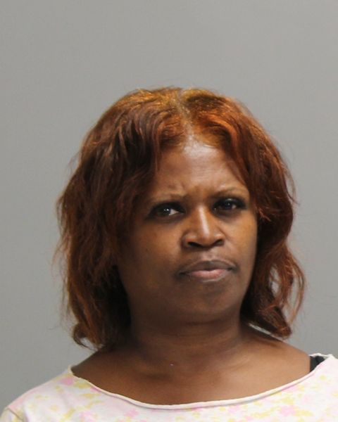 MCPHERSON, GAYNELL arrest record in Brazos County, Texas MCPHERSON, GAYNELL arrested in Brazos County, Texas mugshot