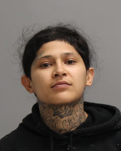 ELIZONDO, XENA KRISTIE arrest record in Brazos County, Texas ELIZONDO, XENA KRISTIE arrested in Brazos County, Texas mugshot