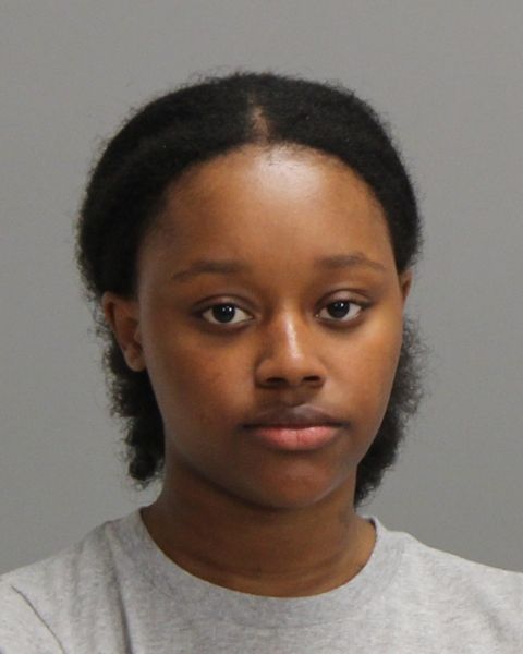 SHIELDS, GEORGIA RENEE arrest record in Brazos County, Texas SHIELDS, GEORGIA RENEE arrested in Brazos County, Texas mugshot