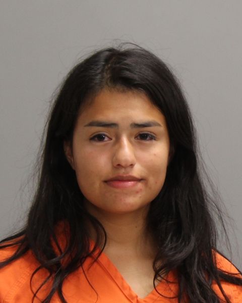 ORTEGA, VIANEY FAITH arrest record in Brazos County, Texas ORTEGA, VIANEY FAITH arrested in Brazos County, Texas mugshot