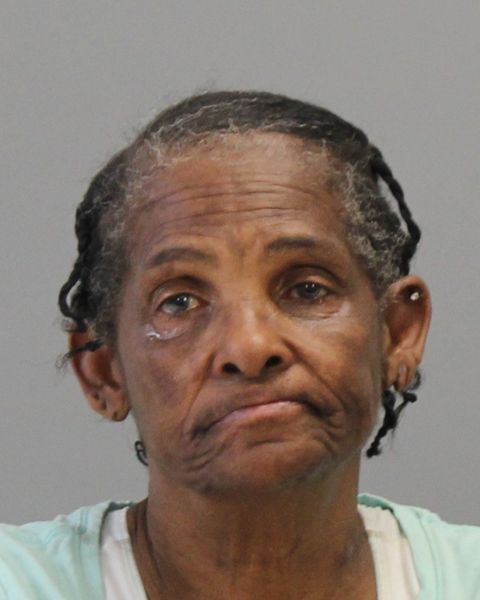 SWAIN, SHERION LOUISE arrest record in Brazos County, Texas SWAIN, SHERION LOUISE arrested in Brazos County, Texas mugshot