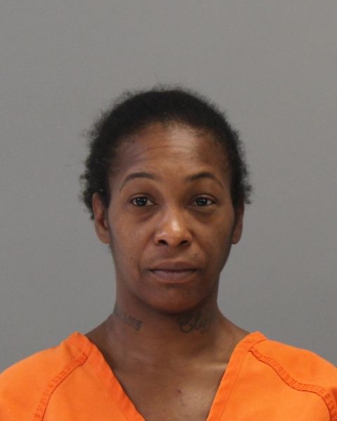 REED, SHARONDA NEECOLE arrest record in Brazos County, Texas REED, SHARONDA NEECOLE arrested in Brazos County, Texas mugshot