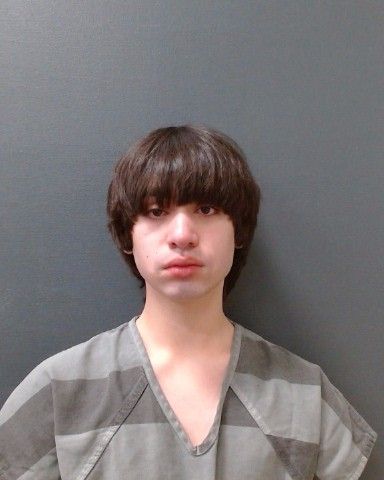 LATHE, LOGAN PHOENIX arrest record in Comal County, Texas LATHE, LOGAN PHOENIX arrested in Comal County, Texas mugshot