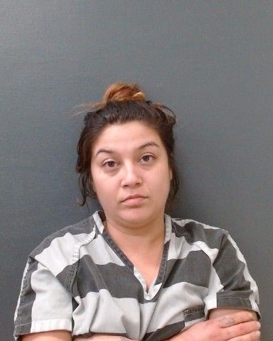 ORTIZ, JENAE JULIA arrest record in Comal County, Texas ORTIZ, JENAE JULIA arrested in Comal County, Texas mugshot