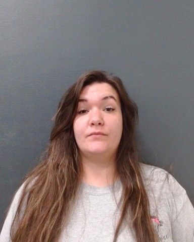 SINDIK, ZOE KERIGAN arrest record in Comal County, Texas SINDIK, ZOE KERIGAN arrested in Comal County, Texas mugshot