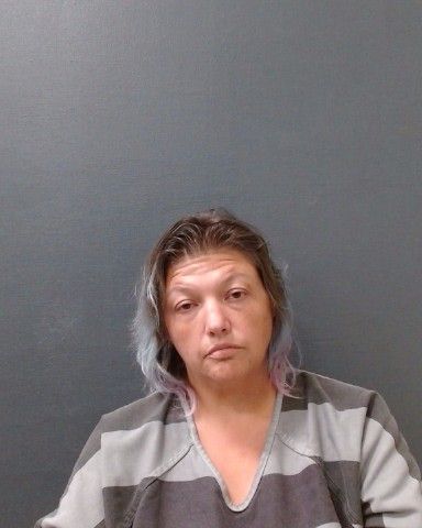 VANN, MAGGIE RENEE arrest record in Comal County, Texas VANN, MAGGIE RENEE arrested in Comal County, Texas mugshot