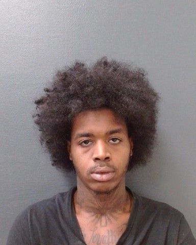 WOODS, CHRISTIAN JULIUS arrest record in Comal County, Texas WOODS, CHRISTIAN JULIUS arrested in Comal County, Texas mugshot