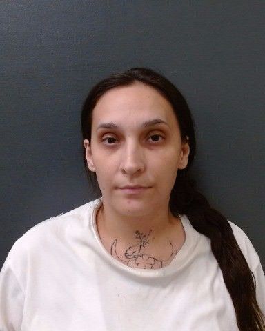 ORTIZ-SABOL, OLIVIA JO arrest record in Comal County, Texas ORTIZ-SABOL, OLIVIA JO arrested in Comal County, Texas mugshot