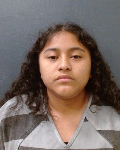 GUZMAN, DEYANARA LIZBETH arrest record in Comal County, Texas GUZMAN, DEYANARA LIZBETH arrested in Comal County, Texas mugshot