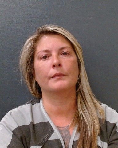 HOLT, TASHA LEE arrest record in Comal County, Texas HOLT, TASHA LEE arrested in Comal County, Texas mugshot