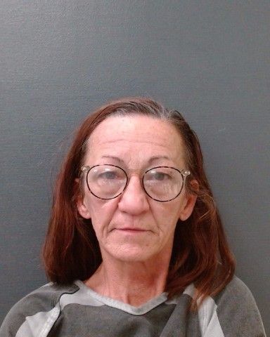 MCCARTNEY, JOY DUETT arrest record in Comal County, Texas MCCARTNEY, JOY DUETT arrested in Comal County, Texas mugshot