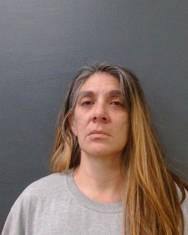 WHITE, JENNIFER LEE arrest record in Comal County, Texas WHITE, JENNIFER LEE arrested in Comal County, Texas mugshot